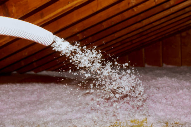 Best Insulation Contractor Near Me  in Elizabeth, PA