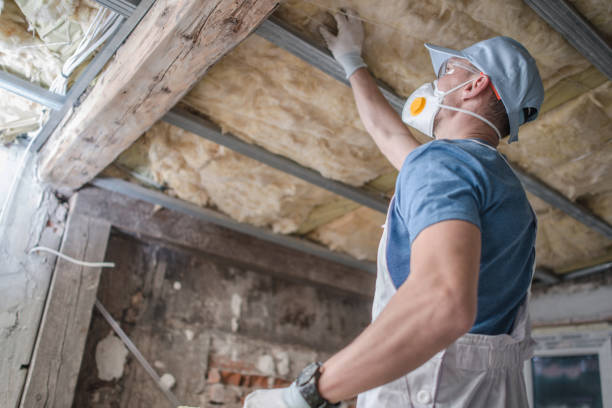 Best Home Insulation Services  in Elizabeth, PA