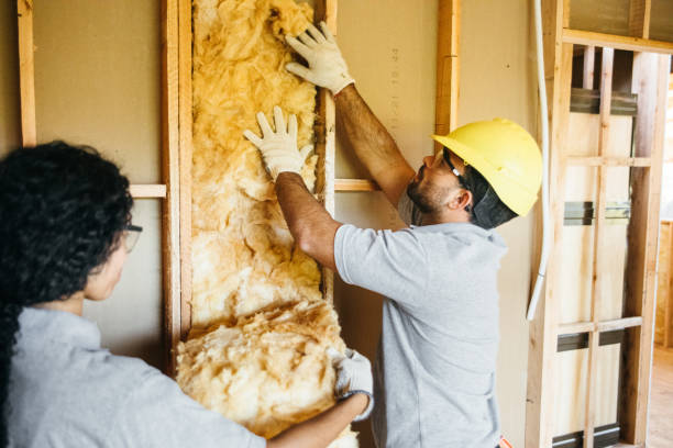 Best Energy-efficient Insulation  in Elizabeth, PA