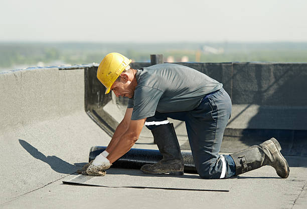 Best Best Insulation Companies  in Elizabeth, PA