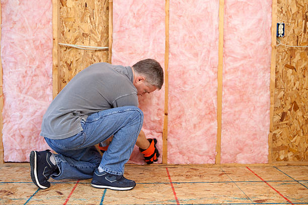 Best Insulation Repair Services  in Elizabeth, PA