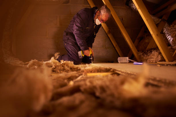 Best Local Insulation Services  in Elizabeth, PA